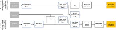 Integrated Computational Analysis of Genes Associated with Human Hereditary Insensitivity to Pain. A Drug Repurposing Perspective